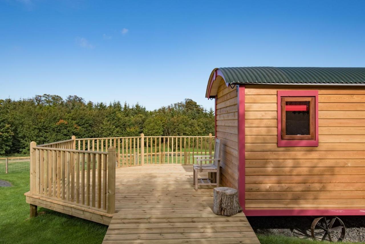 Foxglove Shepherd'S Hut Berwick Upon Tweed Bagian luar foto